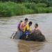 Elephant ride, Nord Thailande